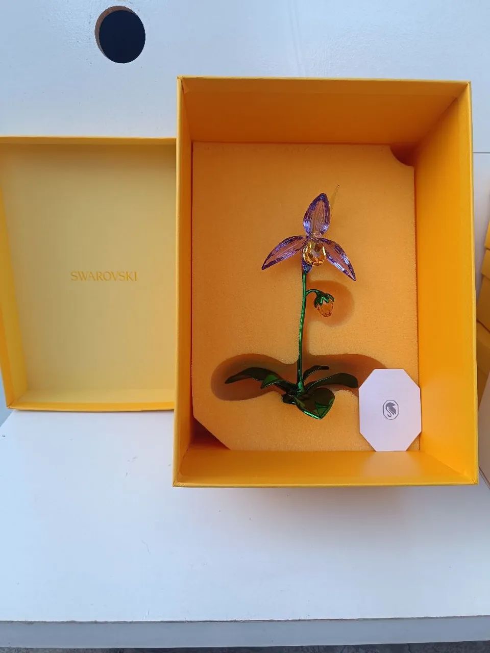 orquídea sapatinho_swarovski - Foto 3