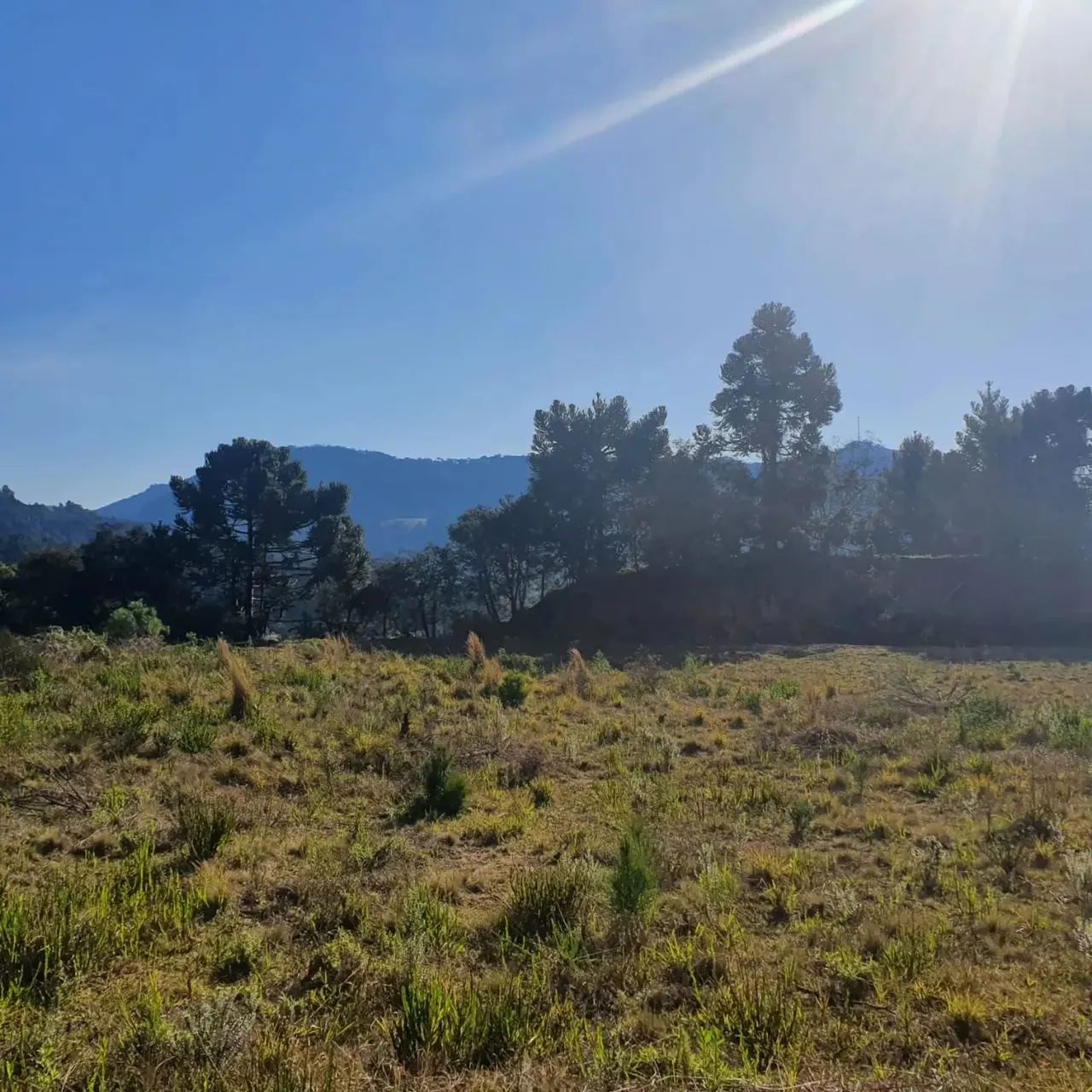 Loteamento no Centro de Urubici - SC - Foto 11