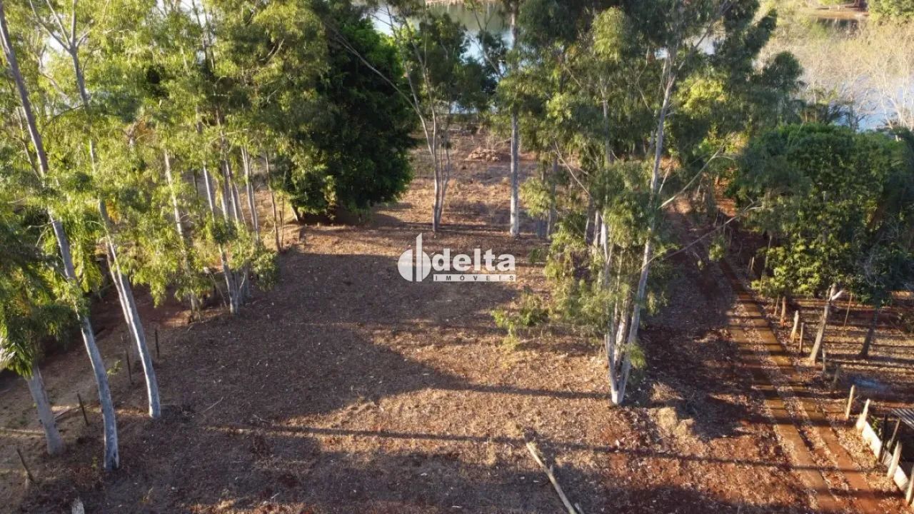Lote Beira Lago (Indianópolis) - Foto 5