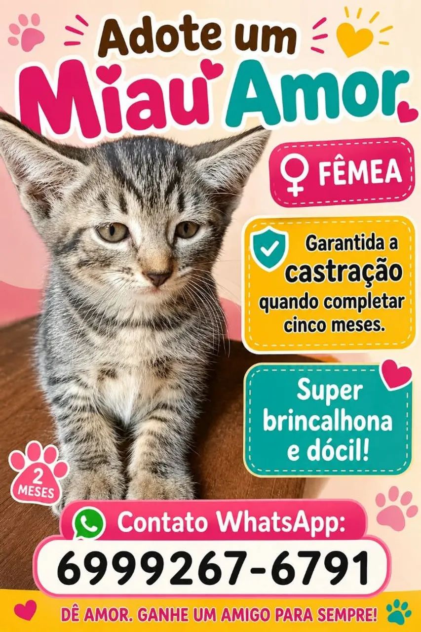 Doação de gatinha