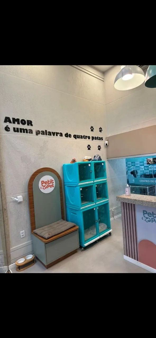 Pet shop na Praia do Canto - Foto 4