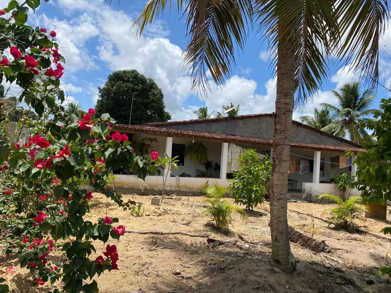 ?VENDO SITIO  - Foto 3