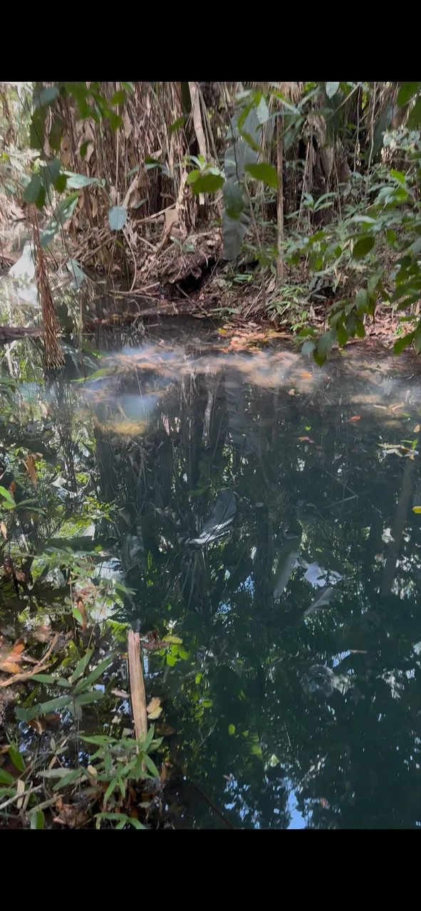 Oportunidade chácaras de recreio na região do Cantá - Foto 4