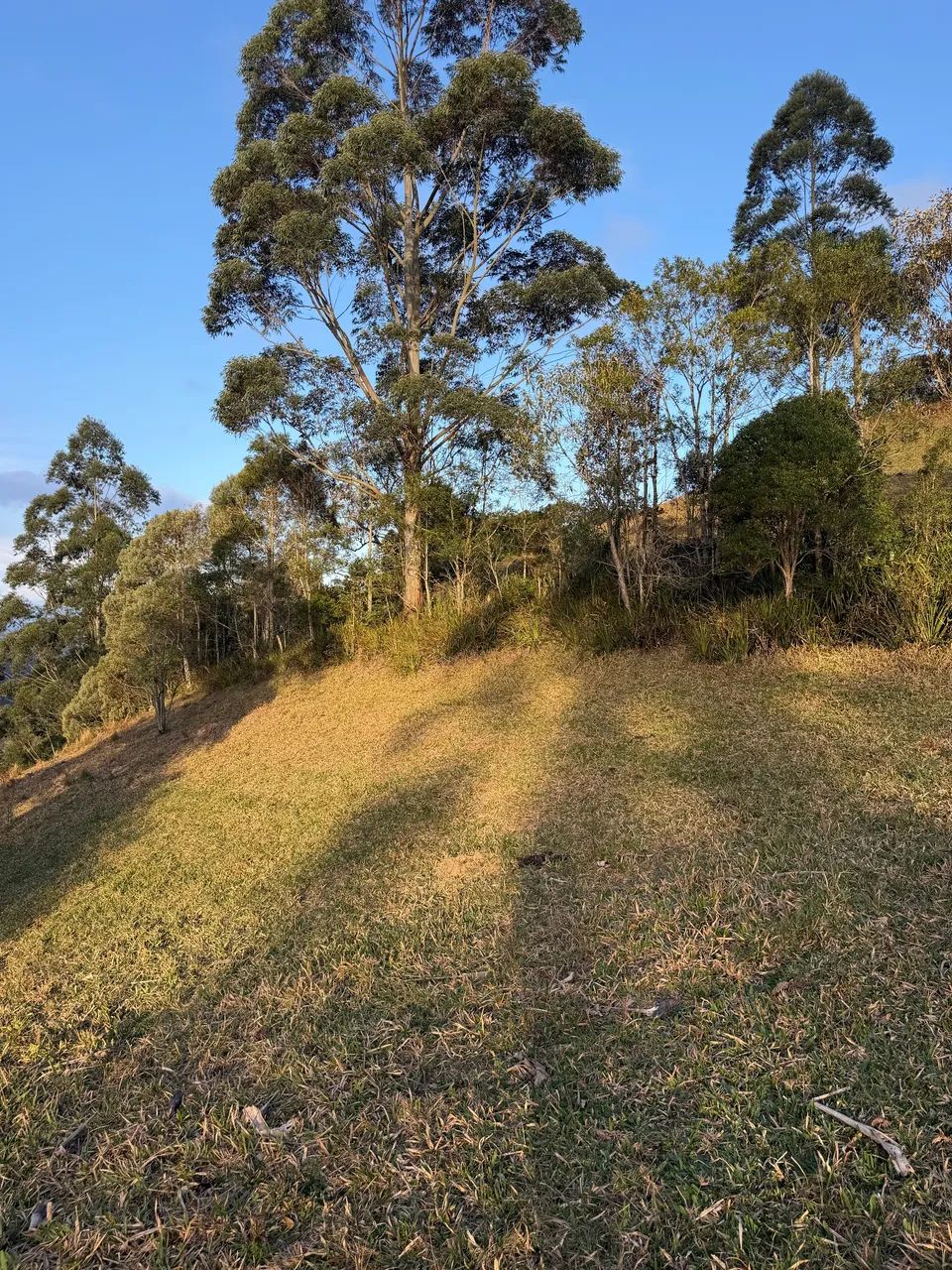 ANITÁPOLIS/SC - Terreno para sítio próximo a cidade 2 hectares  - Foto 2