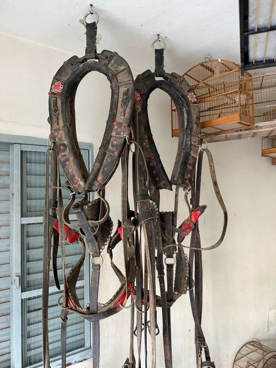 Curiama de 2 cavalos 