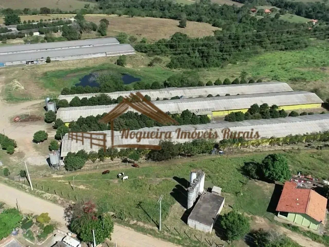 Sitio com granjas, 200 mil aves - Foto 4