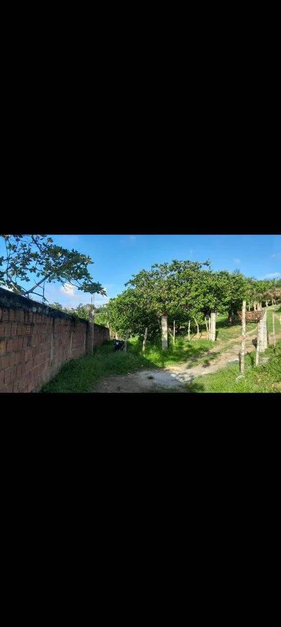 Terreno - Foto 4