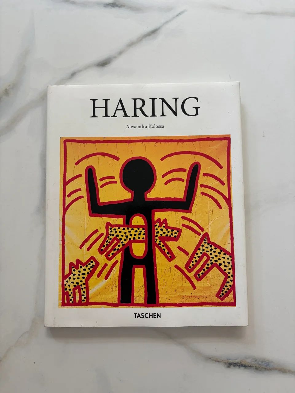 HARING - Alexandra Kolossa | Taschen - Foto 2