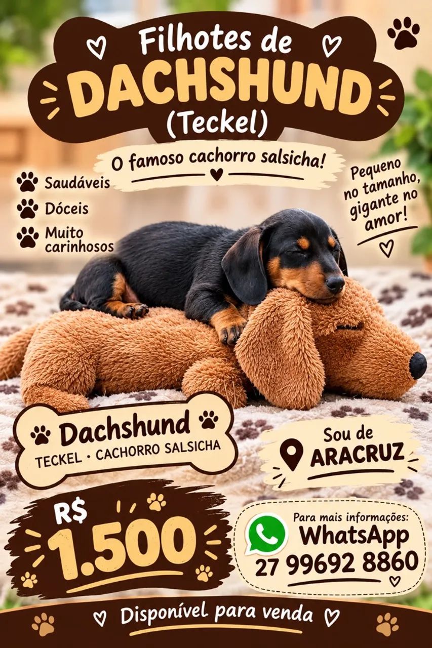 Dachshund  - Foto 2