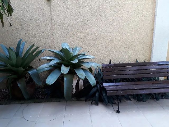 CASEIRA free lance  para Barra da,Tijuca