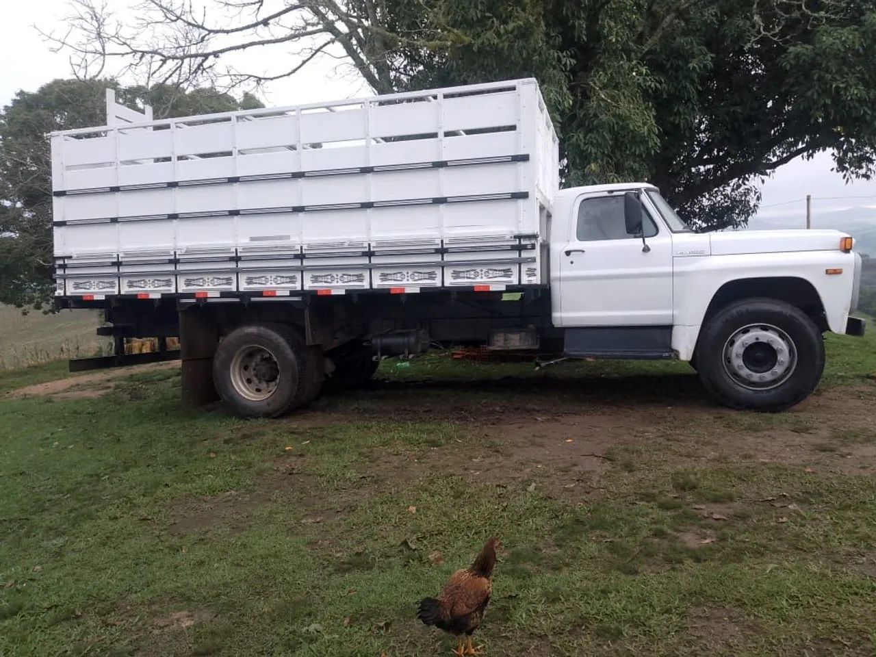 Ford F-1000 SR XK Deserter Diesel 1989