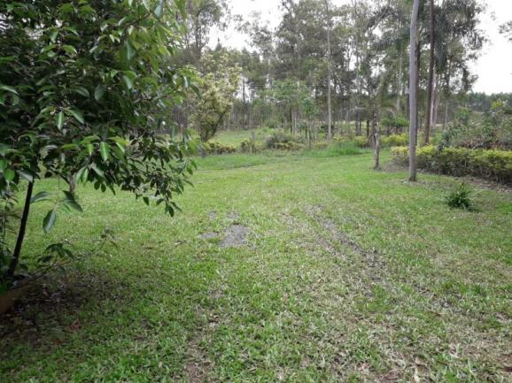 Chácara 10.000 m² - vendinha - montenegro - rs - Foto 6