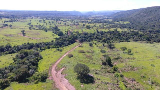 Fazenda Goiás Baliza - Foto 6