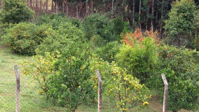 Chacara a 4 km do centro de Araucara 3.734,18 pronto para construir - Foto 2