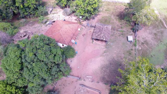 Fazenda Goiás Baliza - Foto 9