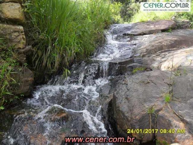 07F/Bela fazenda de 18,78 ha com linda sede estilo antigo, cachoeiras e produtiva - Foto 8