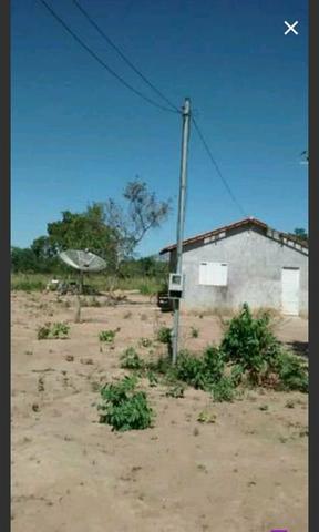 Sitio 15hectares toda formada vendo troco - Foto 6