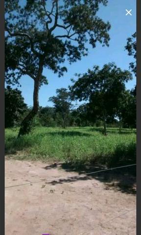 Sitio 15hectares toda formada vendo troco