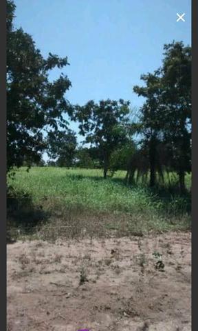Sitio 15hectares toda formada vendo troco - Foto 4