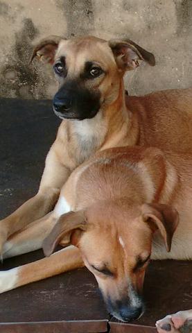Doação - Foto 6