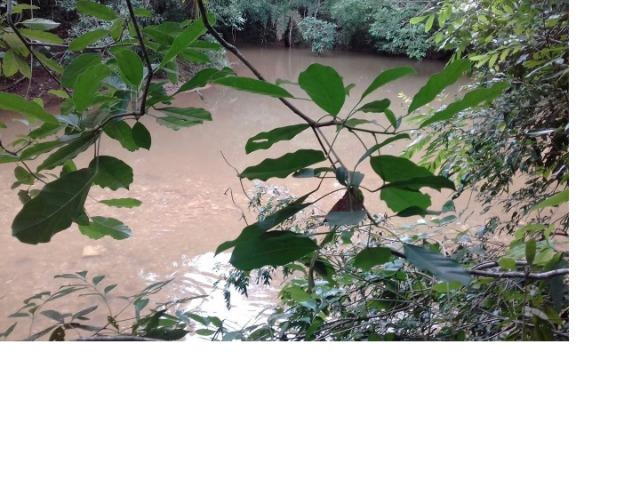 9.0 Hectares, Chapada dos Guimarães, 01 riacho e um rio, um paraíso, aceito troca - Foto 4