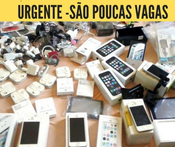 Curso de Importação - Felipe Barcelos - Referência Nacional