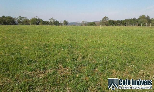 Chácara em Canela com 3 hectares - Foto 2