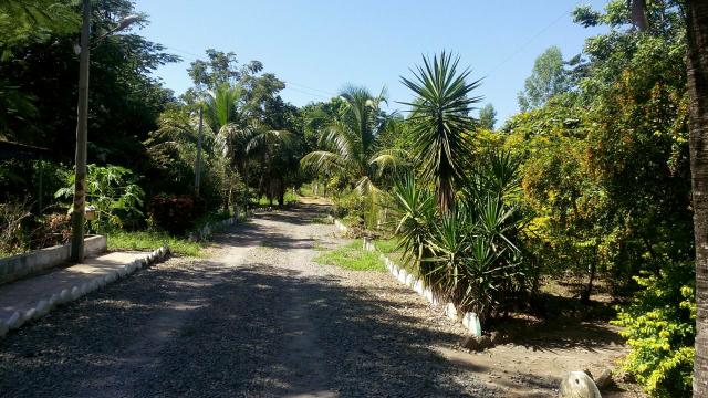 Vende se chacara - Foto 5