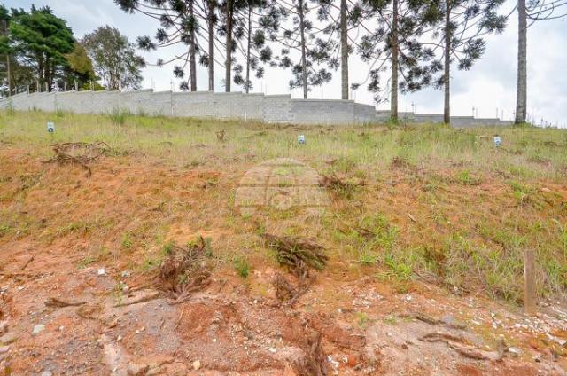 Loteamento/condomínio à venda em Santa cândida, Curitiba cod:924574 - Foto 5