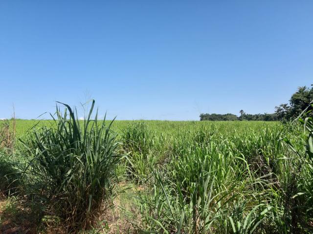 Fazenda de 154 alqueires - Foto 20
