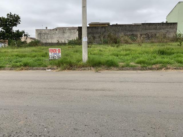 Vende-se 4 lotes três marias - Foto 5