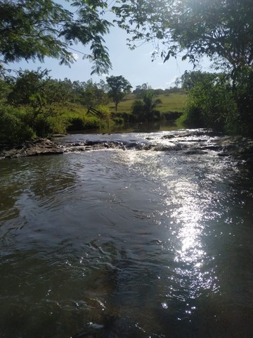 110 Alqueires  - Municipio de Araçu - Foto 4