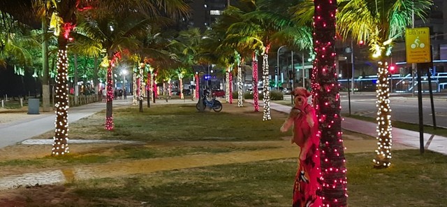 Apartamento Praia de Itaparica. - Foto 5