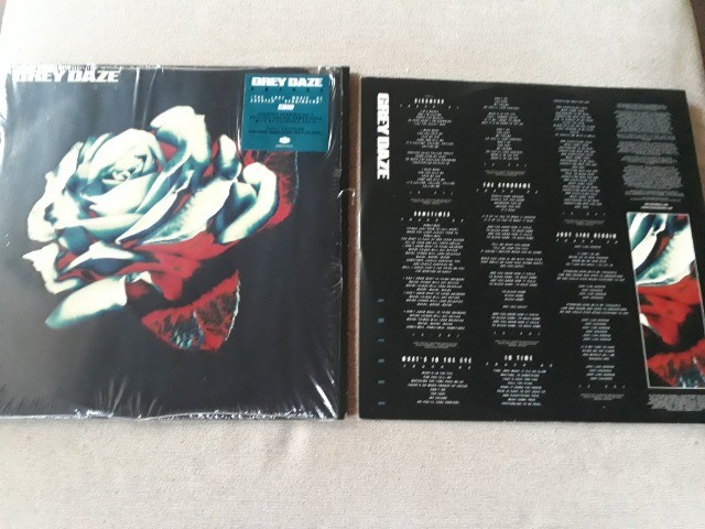 LP Disco de Vinil Grey Daze - Amends