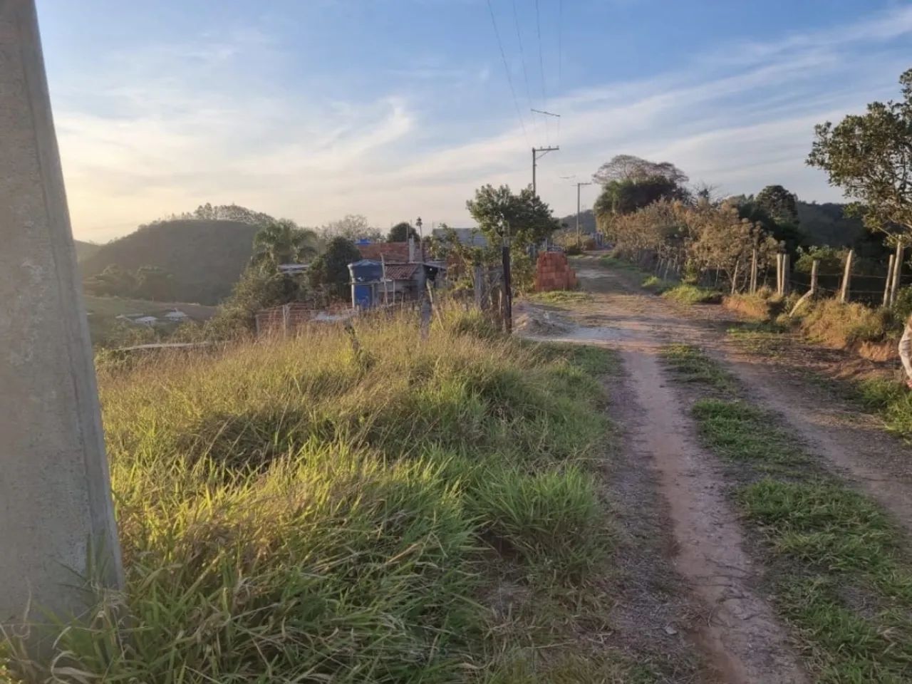 foto - São José dos Campos - Bosque dos Eucaliptos