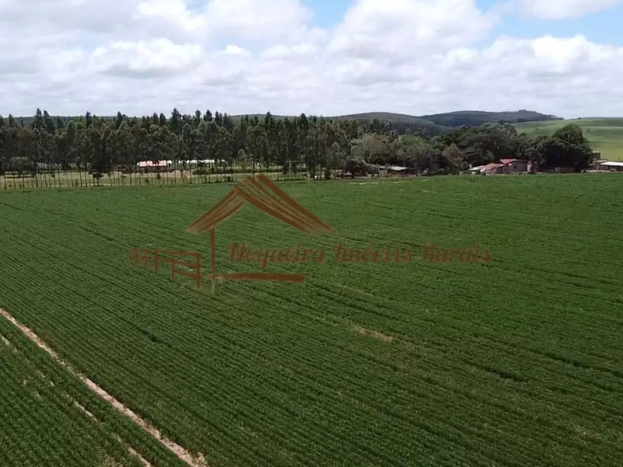 Sítio com 16 Alqueires na Região De Avaré-SP - Foto 4