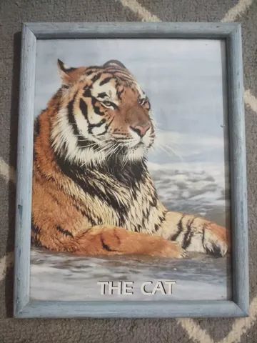 Quadro De Parede The Cat Tigre 30 X 22 Centímetros