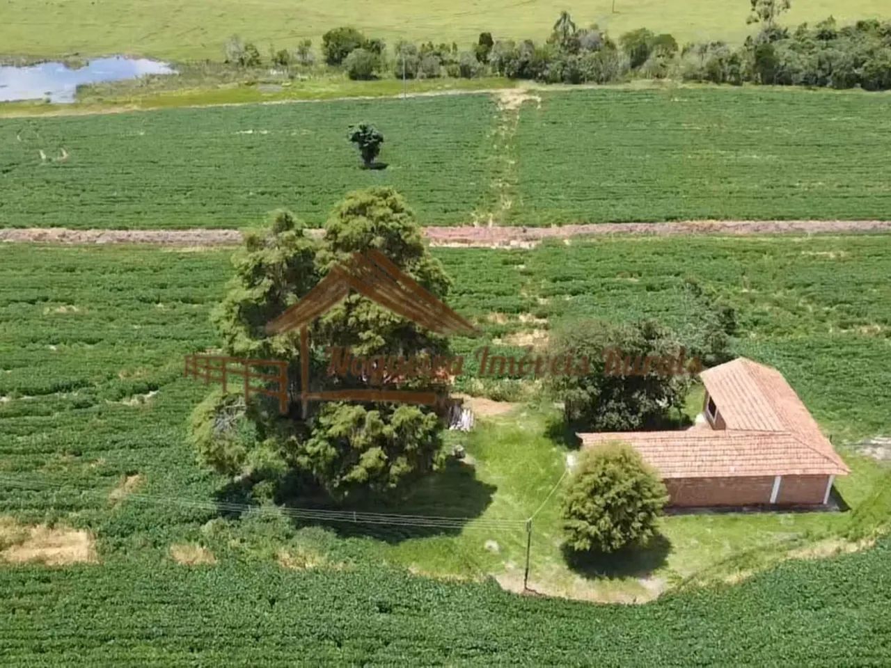 Sítio com 16 Alqueires na Região De Avaré-SP - Foto 2