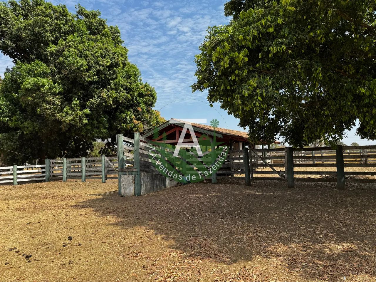 Fazenda de 29,5 alq em Matrinchã GO - Foto 3