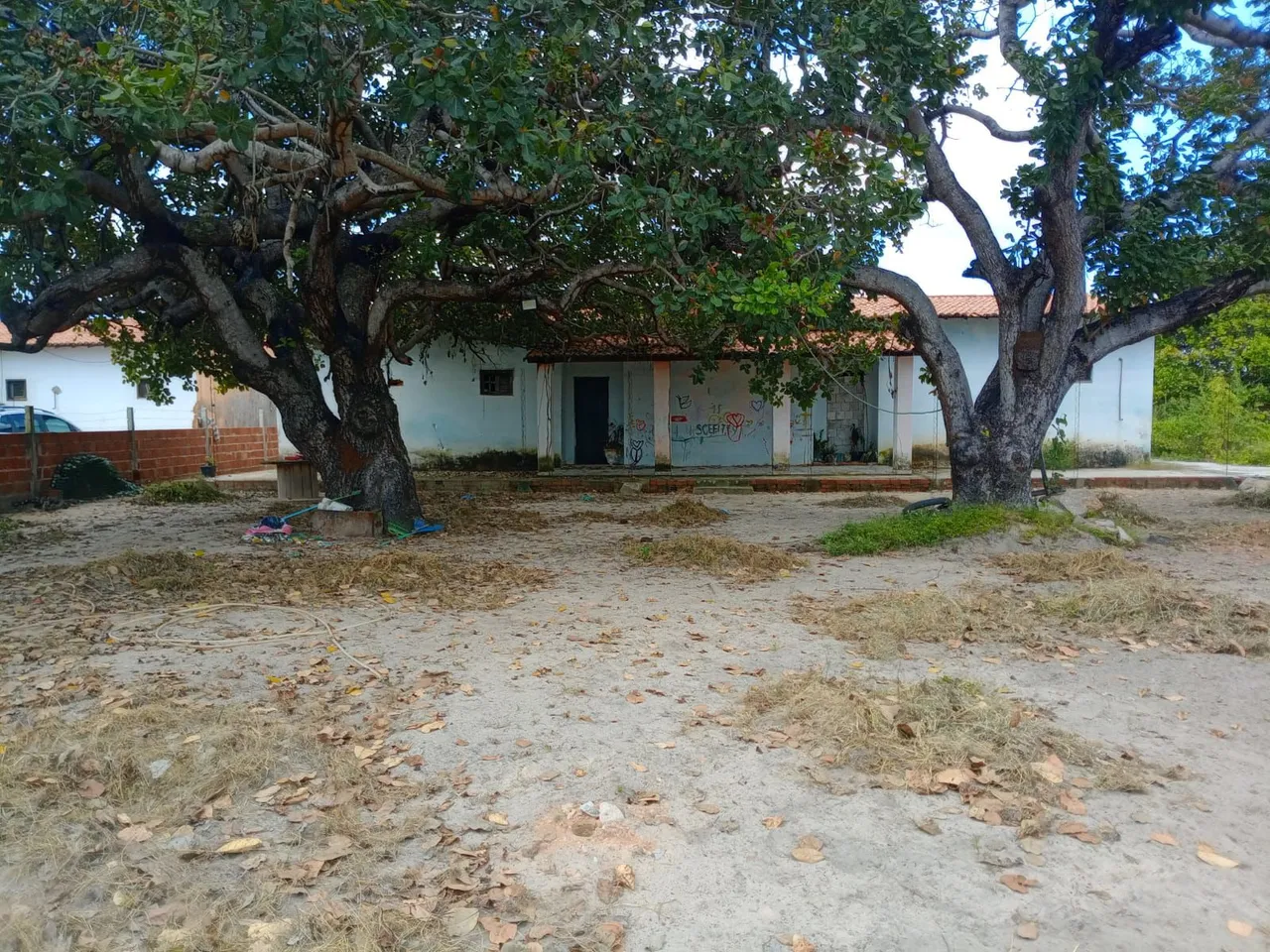 Sítio 46km Fortaleza com poço, muro e casa muito grande