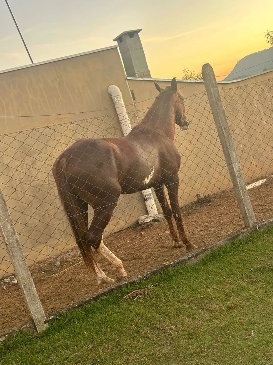 Vendo ou troco manga larga toppp  - Foto 3