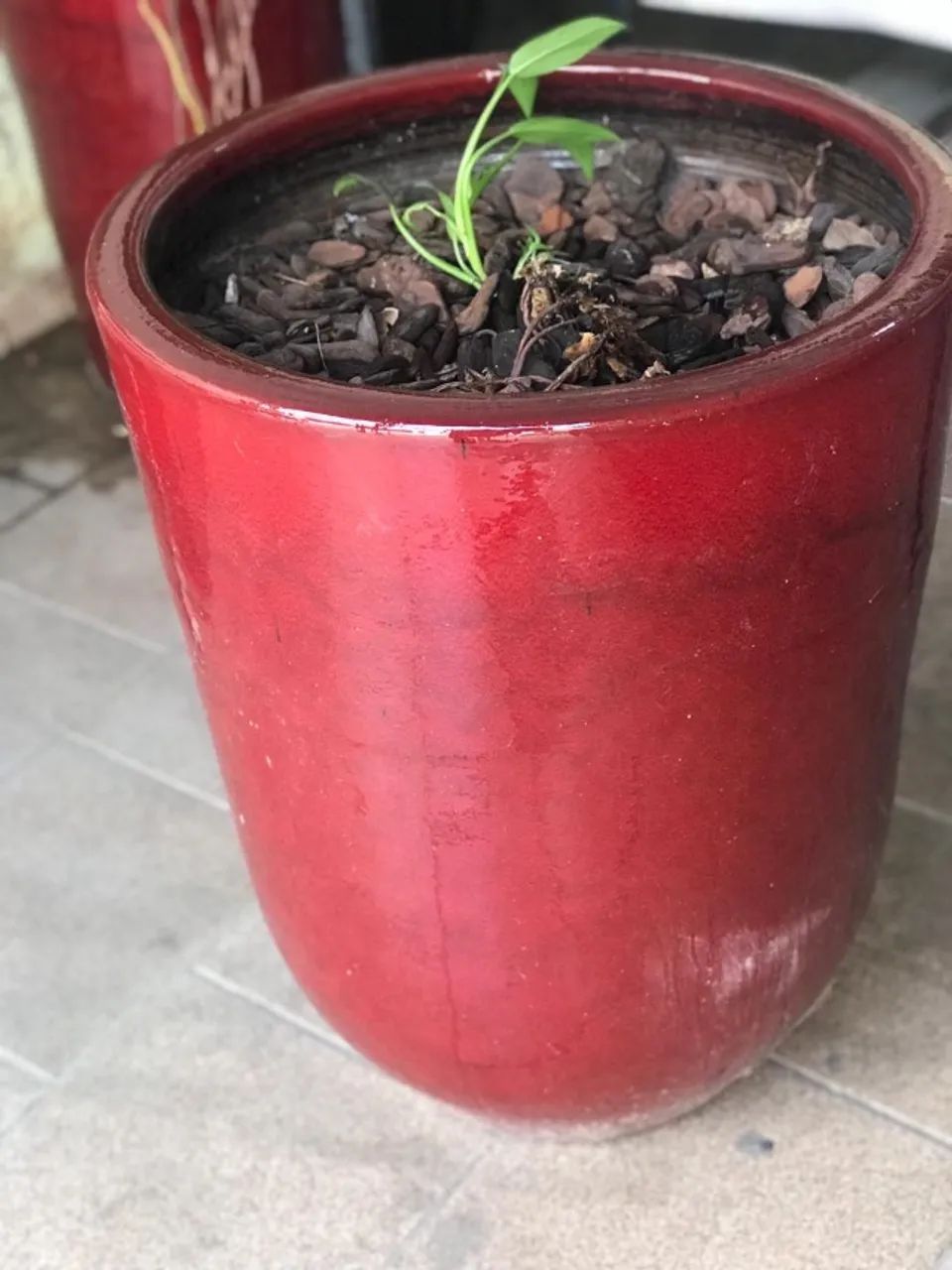 VENDE-SE ESSE LINDO VASO ORNAMENTAL - Foto 4