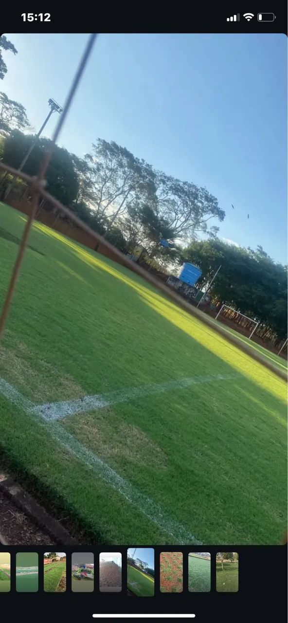 Gramas com preço e qualidade!