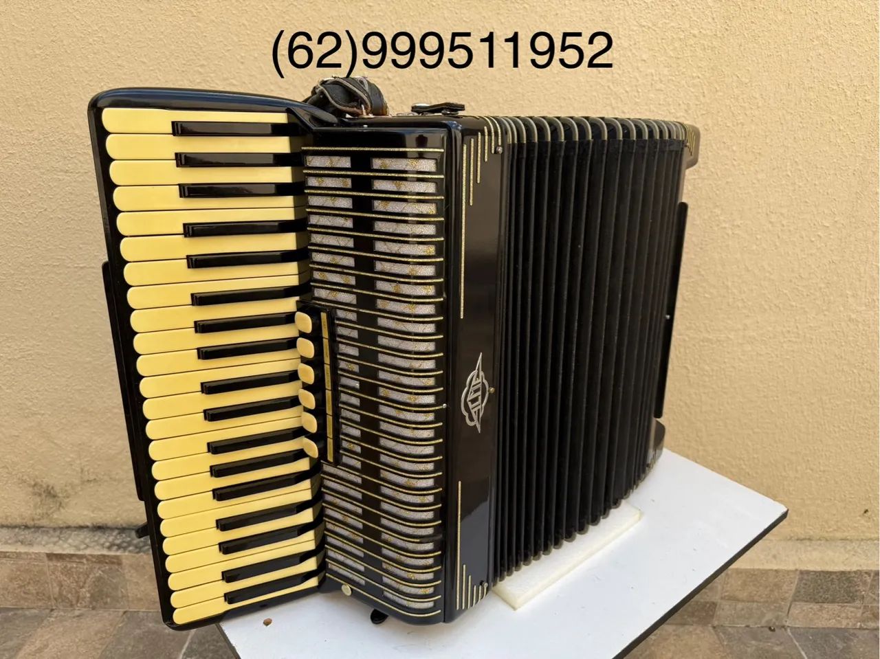 Acordeon Sanfona ACMETTE 120 baixos em 4/5 oitavada com desmanche lateral  - Foto 3