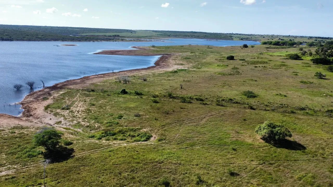 fazenda com 150 hectares entre Macaiba e vera cruz um Luxo de fazenda - Foto 3
