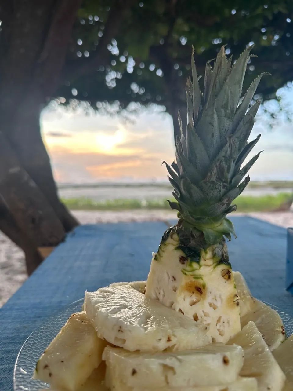 Aluguel Casa de Praia - Mangue Seco/MA - Foto 8