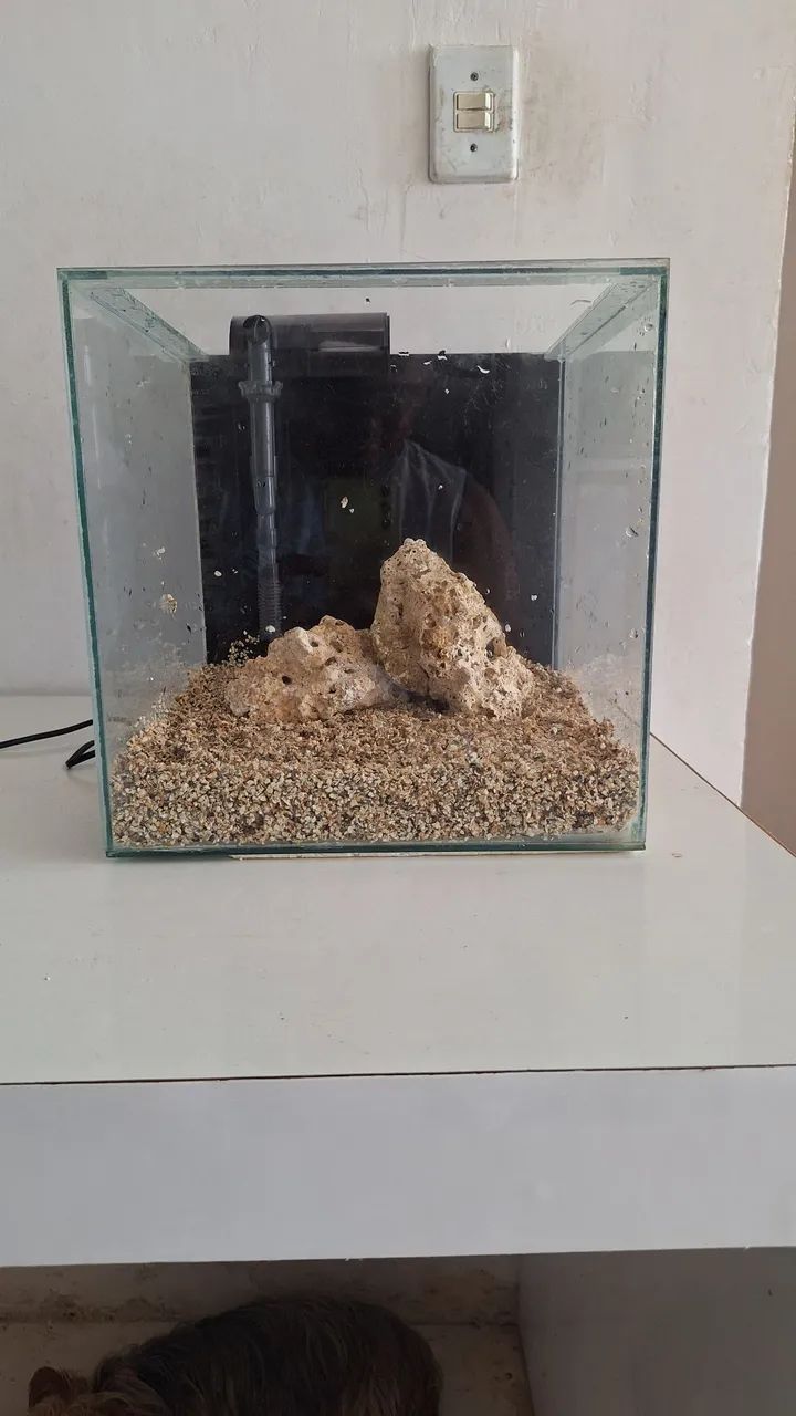 Aquário com bomba, substrato e rochas marinhas 