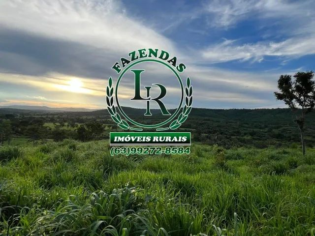 Excelente Chácara 10 Alqueires - Foto 5
