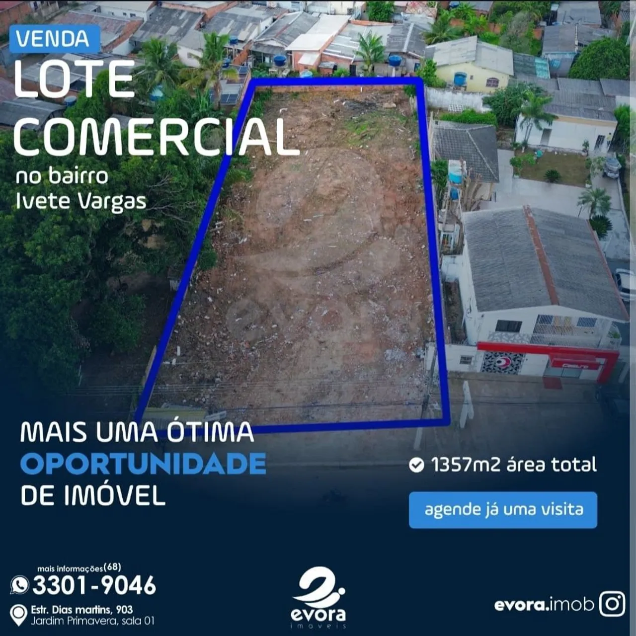LOTE MINAS GERAIS