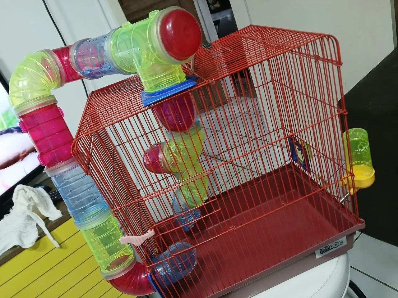 Gaiola para Roedor ?